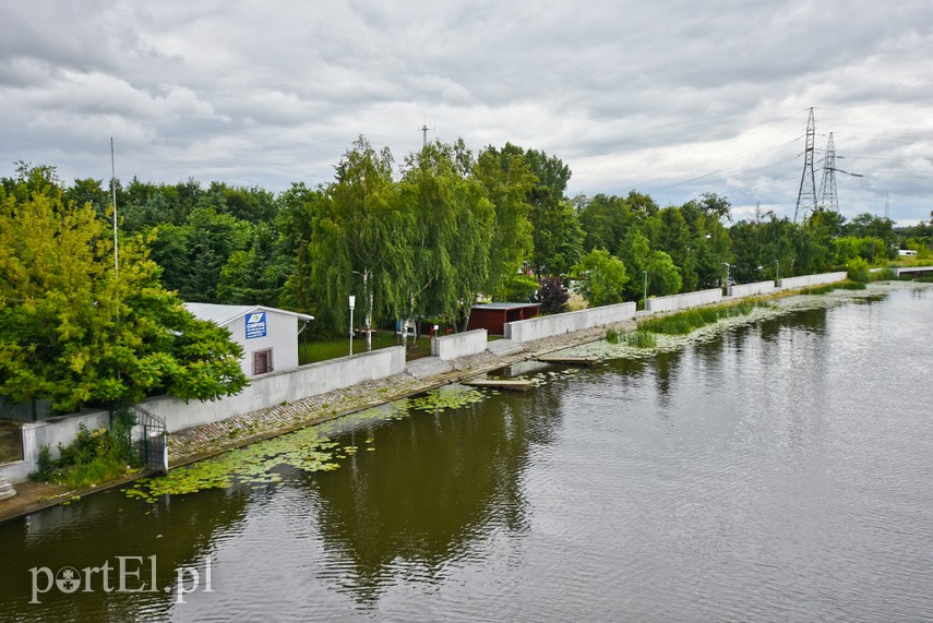 Na elbląskim campingu szukają ciszy i spokoju zdjęcie nr 226453