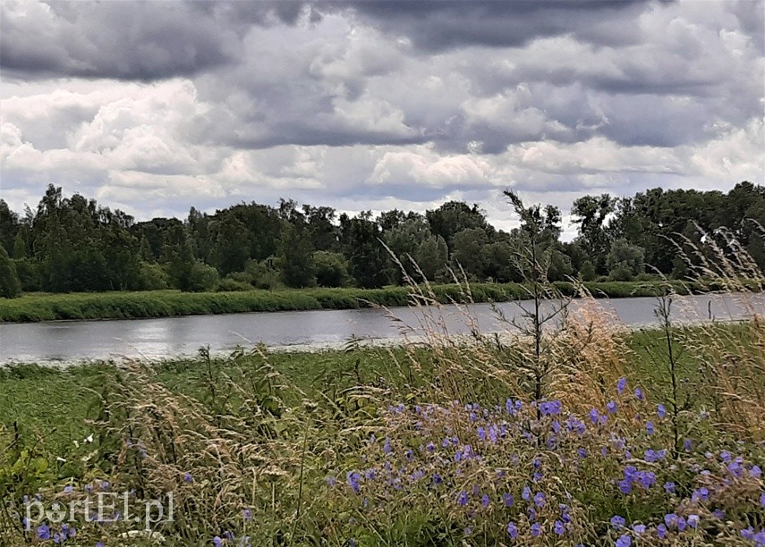 Wycieczka rowerowa - śluza Michałowo zdjęcie nr 226459