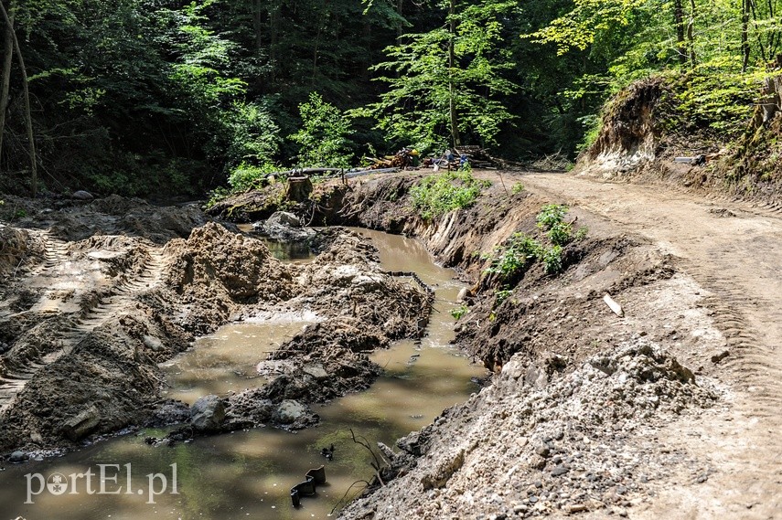 Umacniają brzegi Srebrnego Potoku zdjęcie nr 226552