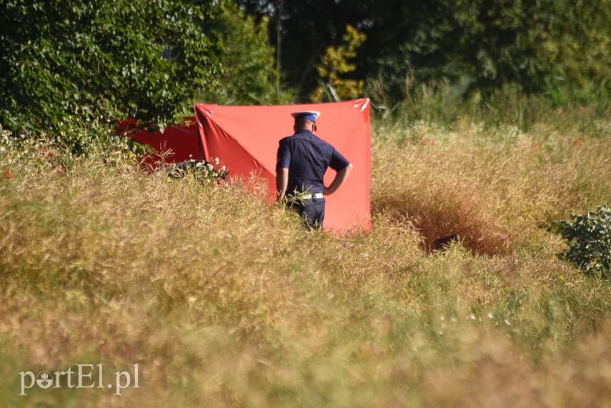 Wypadek na drodze 503. Jedna osoba nie żyje zdjęcie nr 226758