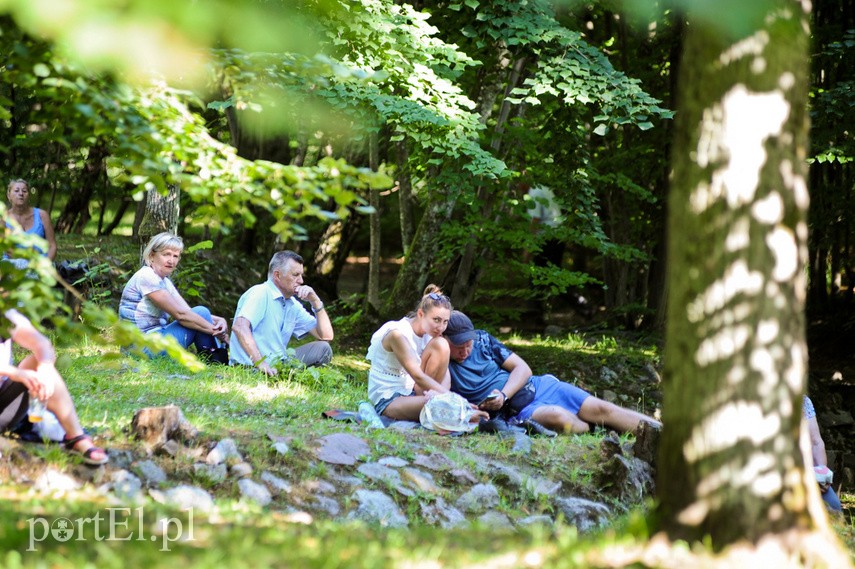 Letni Salon Muzyczny zdjęcie nr 226848