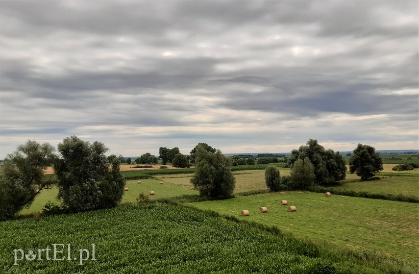 Wycieczka rowerowa - pochylnia Jelenie zdjęcie nr 227012