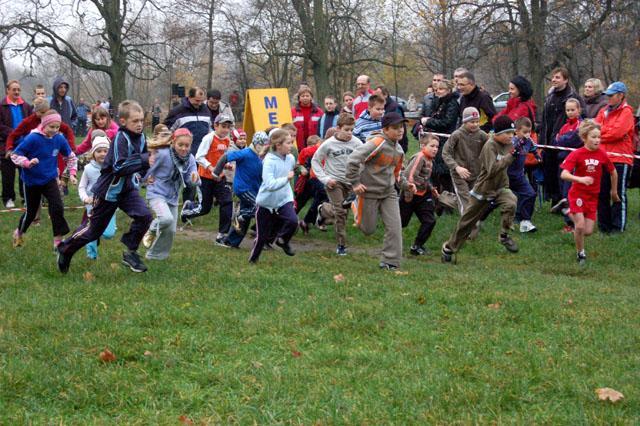 Grand Prix Elbląga w Biegach Przełajowych zdjęcie nr 18469