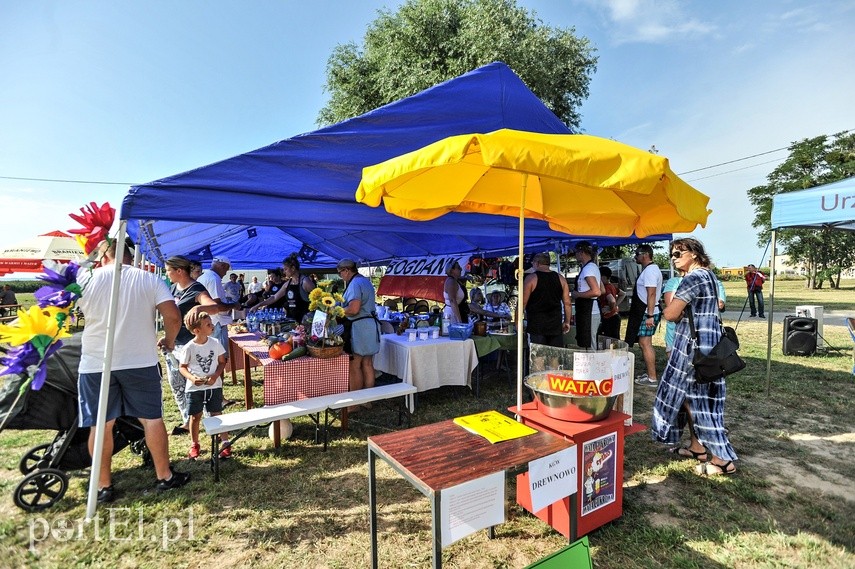 Frombork ma promenadę i nową plażę zdjęcie nr 227783