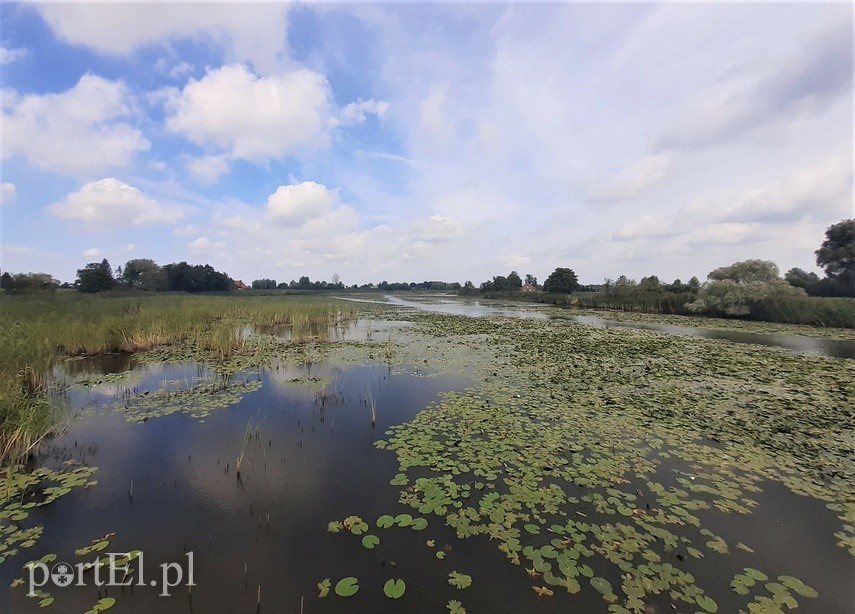 Na rower z portEl.pl: Rezerwat Przyrody Ujście Nogatu zdjęcie nr 228961