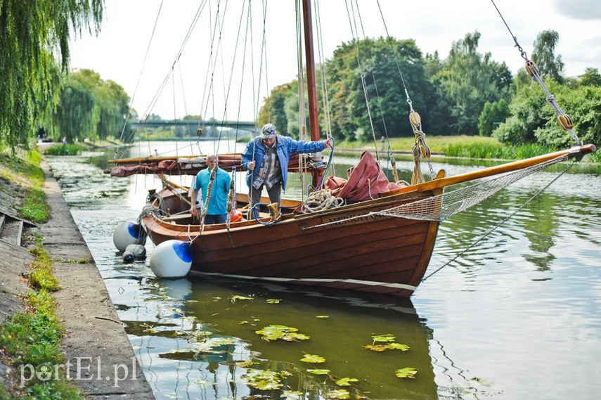 piknik w muzeum zdjęcie nr 229098