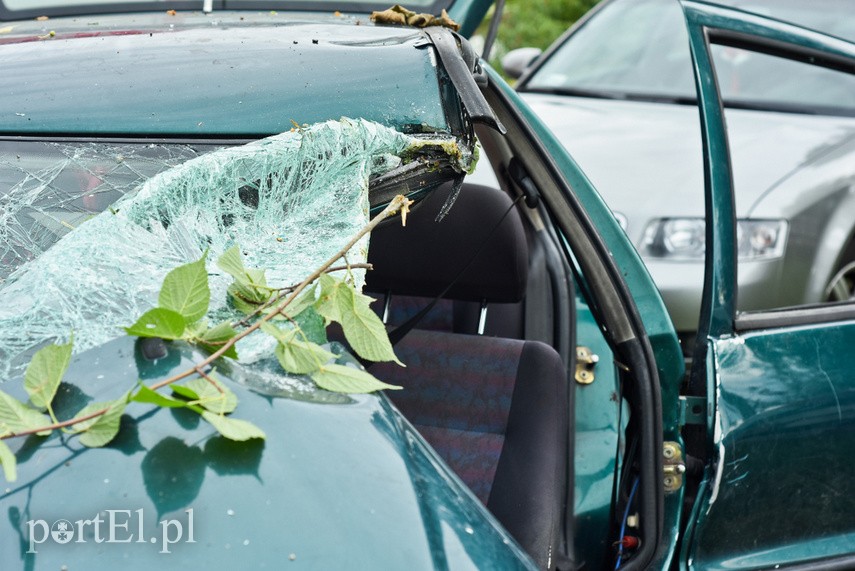 Kobieta kierująca vw polo uderzyła w drzewo zdjęcie nr 229494