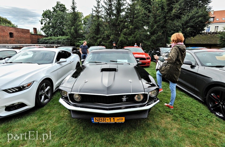 Mustangi zaparkowały na dziedzińcu muzeum zdjęcie nr 229502