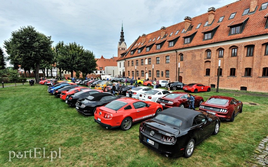 Mustangi zaparkowały na dziedzińcu muzeum zdjęcie nr 229499