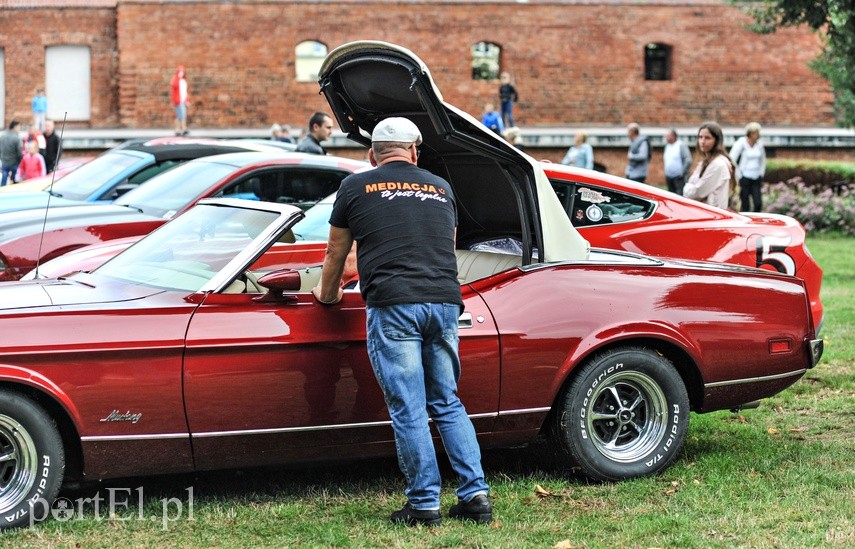 Mustangi zaparkowały na dziedzińcu muzeum zdjęcie nr 229522