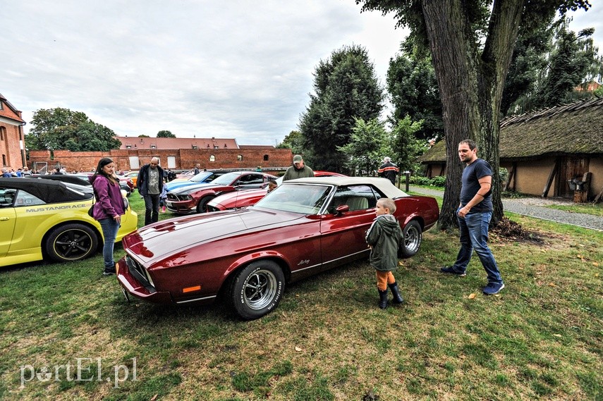 Mustangi zaparkowały na dziedzińcu muzeum zdjęcie nr 229506