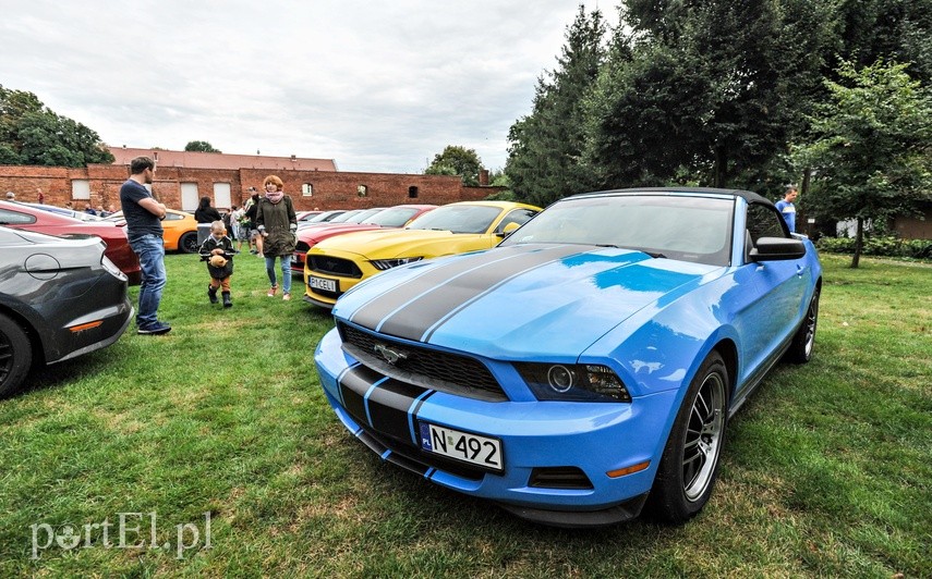 Mustangi zaparkowały na dziedzińcu muzeum zdjęcie nr 229505