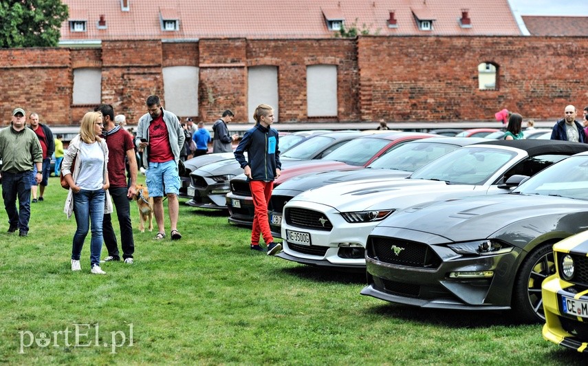 Mustangi zaparkowały na dziedzińcu muzeum zdjęcie nr 229518