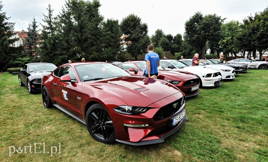 Mustangi zaparkowały na dziedzińcu muzeum zdjęcie nr 229503