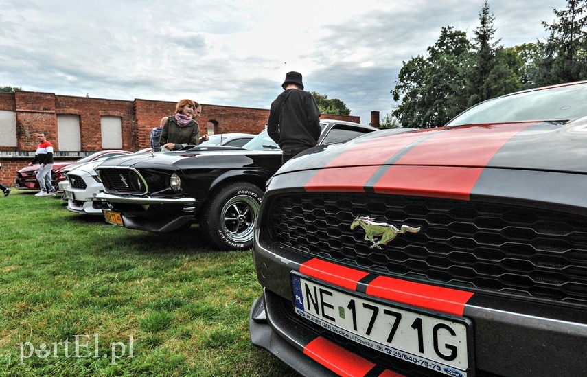 Mustangi zaparkowały na dziedzińcu muzeum zdjęcie nr 229501