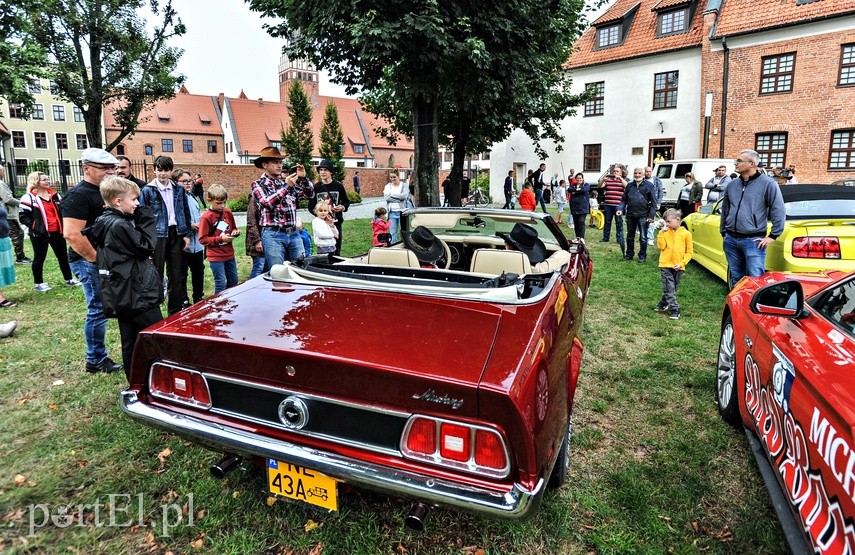 Mustangi zaparkowały na dziedzińcu muzeum zdjęcie nr 229525