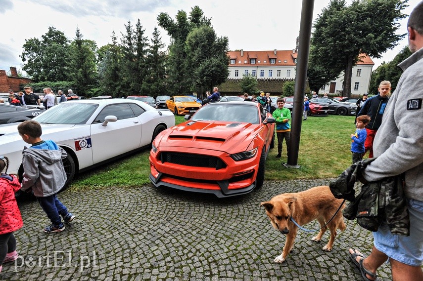 Mustangi zaparkowały na dziedzińcu muzeum zdjęcie nr 229508