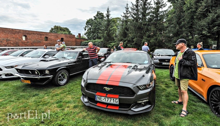 Mustangi zaparkowały na dziedzińcu muzeum zdjęcie nr 229500