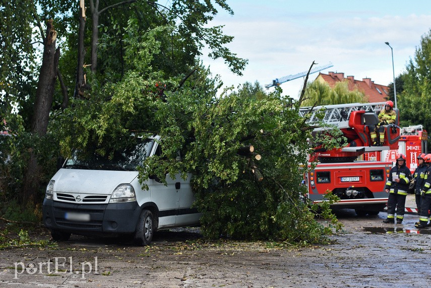 Wichura powaliła drzewo na nissana zdjęcie nr 229693