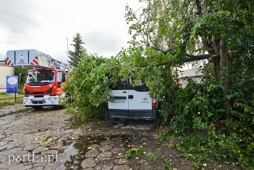 Wichura powaliła drzewo na nissana zdjęcie nr 229685