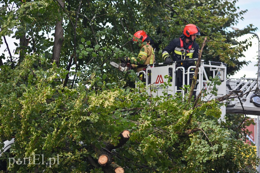 Wichura powaliła drzewo na nissana zdjęcie nr 229691