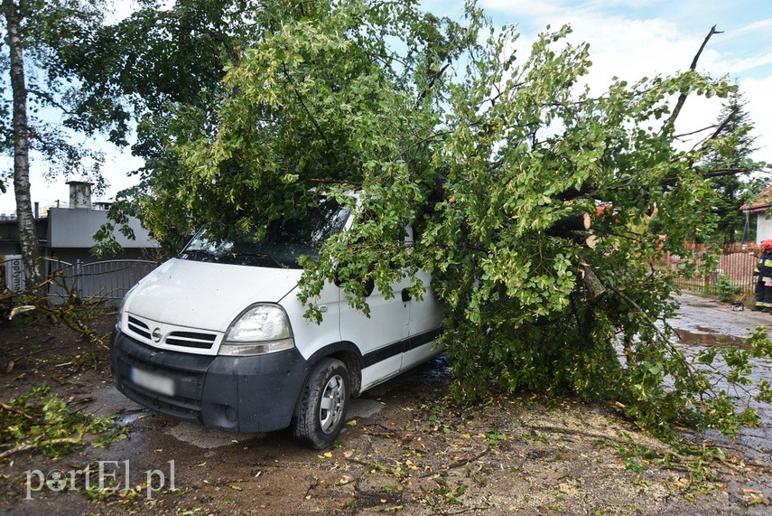 Wichura powaliła drzewo na nissana zdjęcie nr 229687