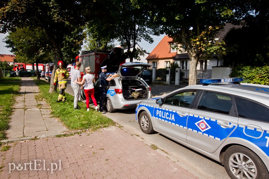 Zderzenie opla z fordem na ul. Kilińskiego zdjęcie nr 230222