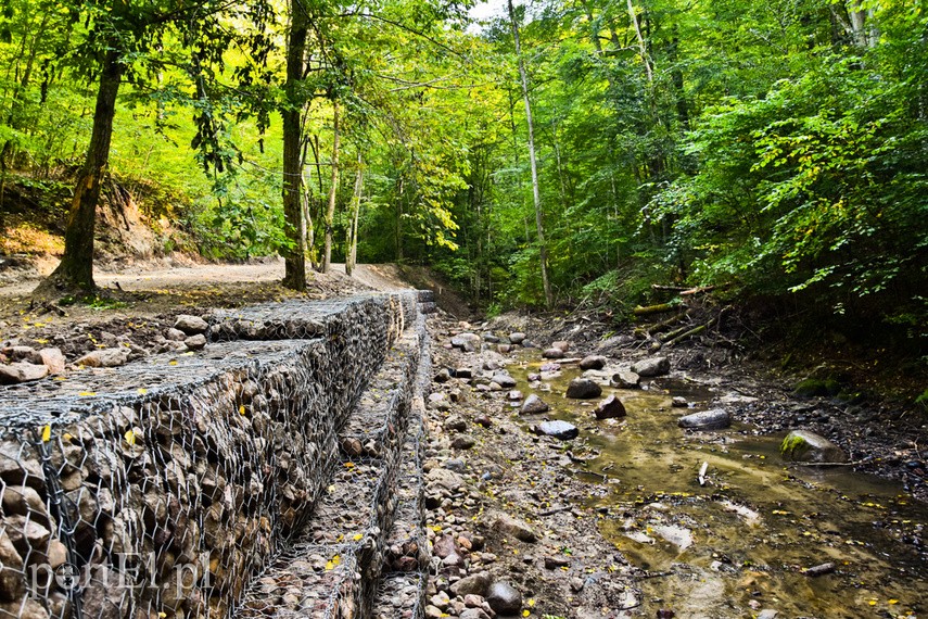 Remont szlaku czerwonego na finiszu zdjęcie nr 230692