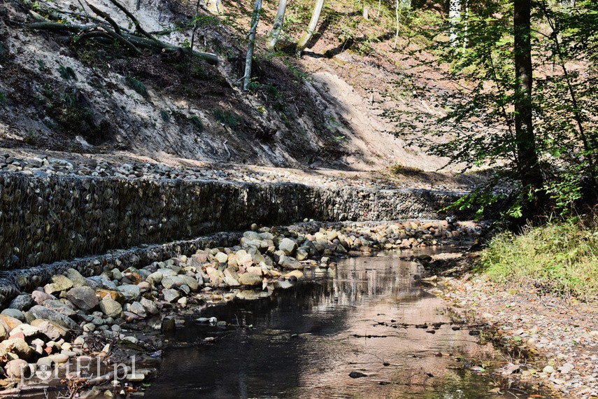 Remont szlaku czerwonego na finiszu zdjęcie nr 230680