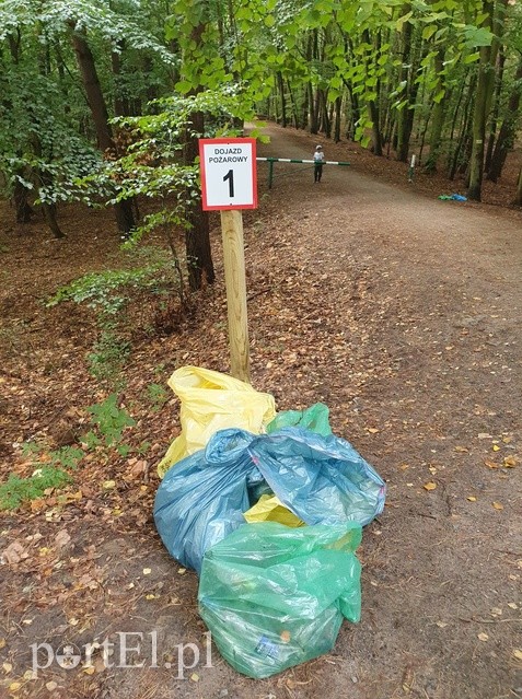 Nazbierali ponad 50 worów śmieci zdjęcie nr 230843