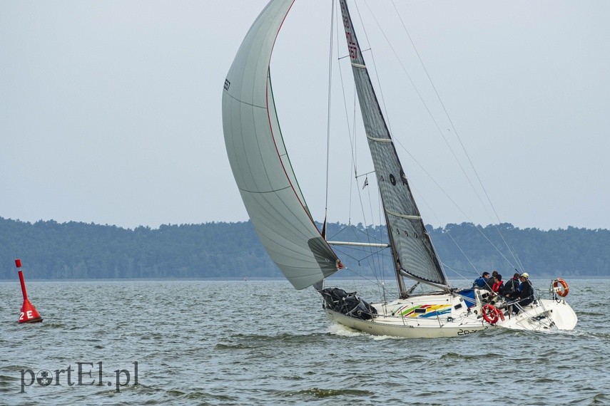 Regaty Grand Prix Krynicy Morskiej  zdjęcie nr 230861