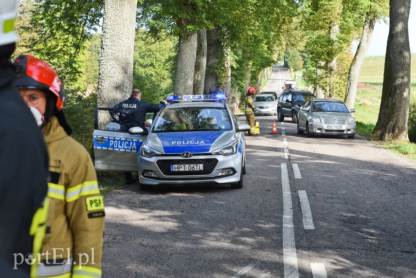 Uderzył w drzewo, bo zapalał papierosa zdjęcie nr 231029