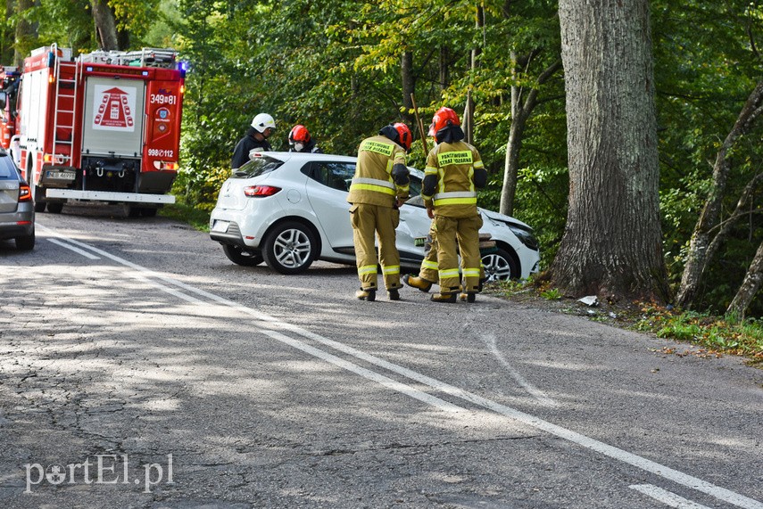 Uderzył w drzewo, bo zapalał papierosa zdjęcie nr 231033