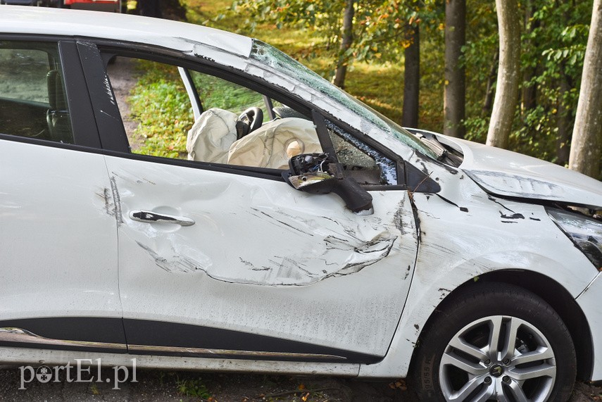 Uderzył w drzewo, bo zapalał papierosa zdjęcie nr 231036