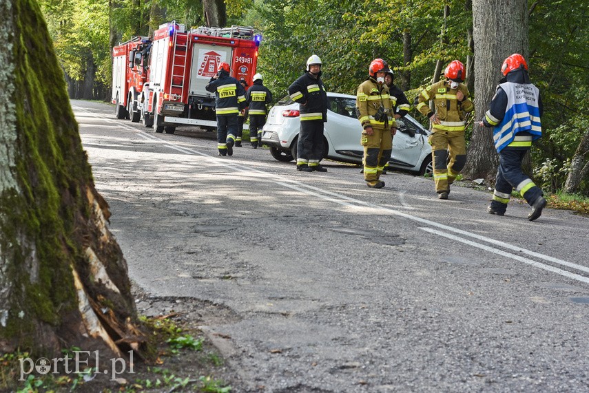 Uderzył w drzewo, bo zapalał papierosa zdjęcie nr 231031