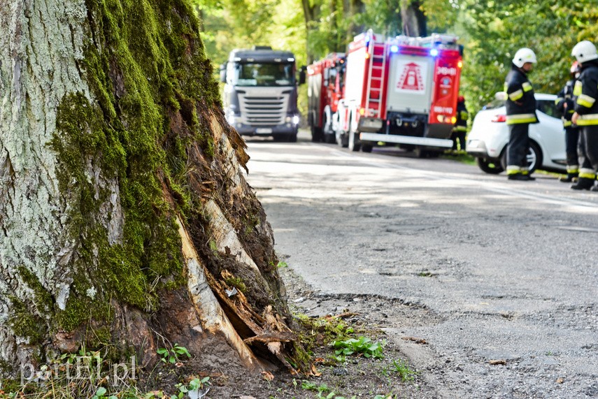 Uderzył w drzewo, bo zapalał papierosa zdjęcie nr 231032