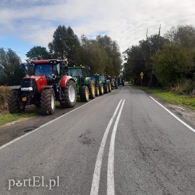 Rolnicy protestowali przeciwko „piątce dla zwierząt” zdjęcie nr 231344