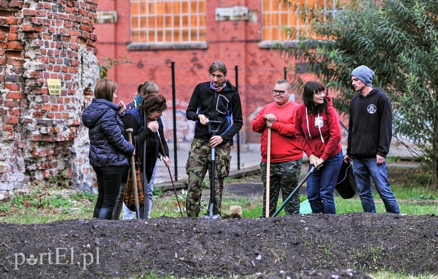 Jeśli na jabłka... to tylko do Galerii EL zdjęcie nr 231373