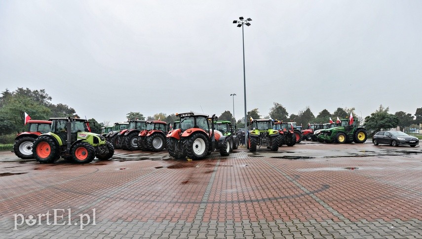 Rolniczy protest w Elblągu. "Nie" dla "piątki Kaczyńskiego" zdjęcie nr 231832