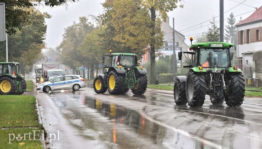 Rolniczy protest w Elblągu. "Nie" dla "piątki Kaczyńskiego" zdjęcie nr 231810