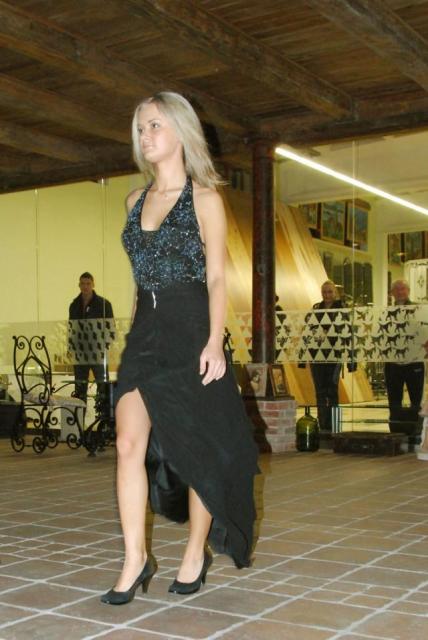 Pierwszy casting na Miss Ziemi Elbląskiej zdjęcie nr 18866