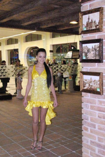 Pierwszy casting na Miss Ziemi Elbląskiej zdjęcie nr 18856