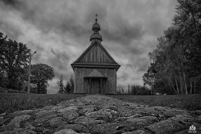 Gmina Godkowo w obiektywie. Jesienny plener „Tańcząc z kotami” zdjęcie nr 232219