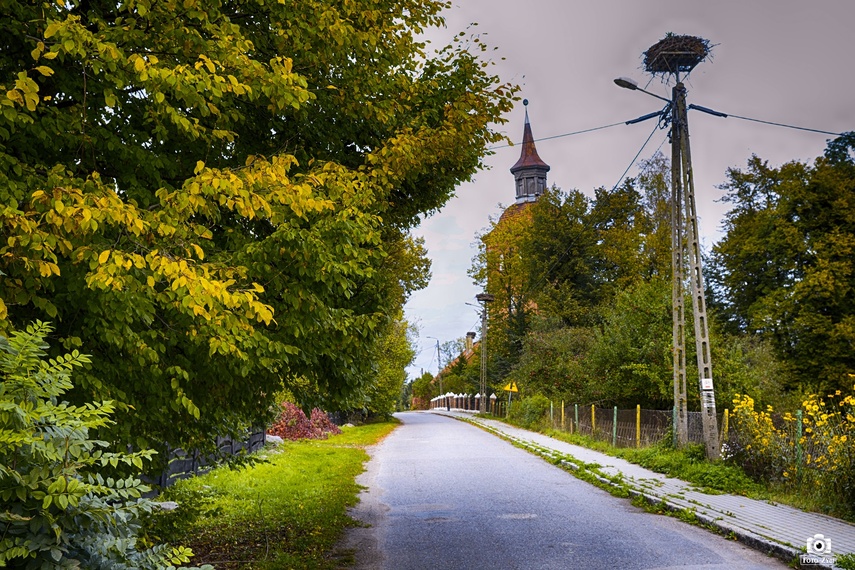 Gmina Godkowo w obiektywie. Jesienny plener „Tańcząc z kotami” zdjęcie nr 232230