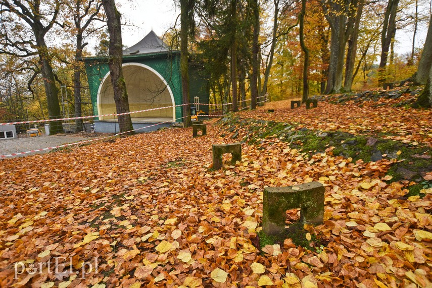 Rozpoczął się remont muszli w Bażantarni zdjęcie nr 232435