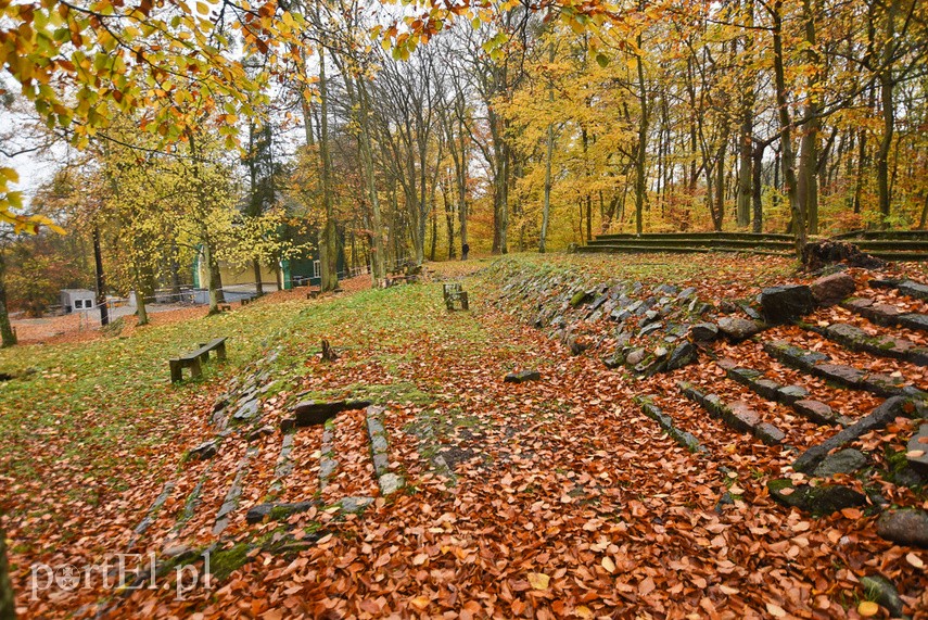 Rozpoczął się remont muszli w Bażantarni zdjęcie nr 232433