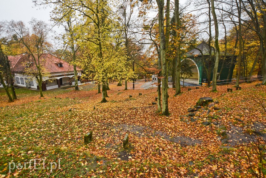 Rozpoczął się remont muszli w Bażantarni zdjęcie nr 232434