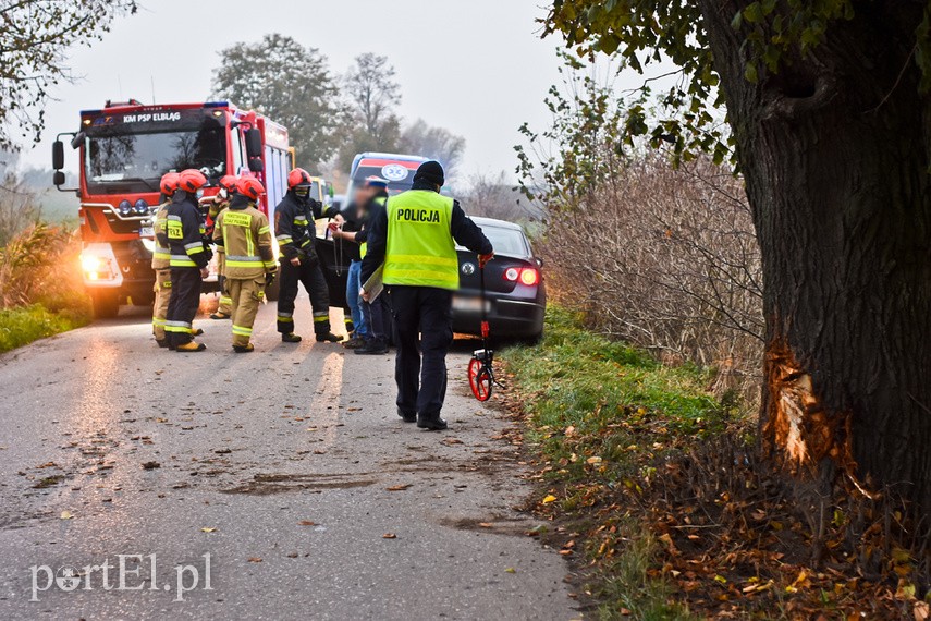 Kobieta kierująca audi uderzyła w drzewo zdjęcie nr 232919