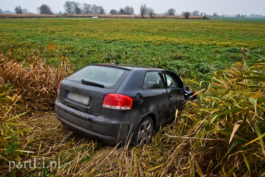 Kobieta kierująca audi uderzyła w drzewo zdjęcie nr 232914