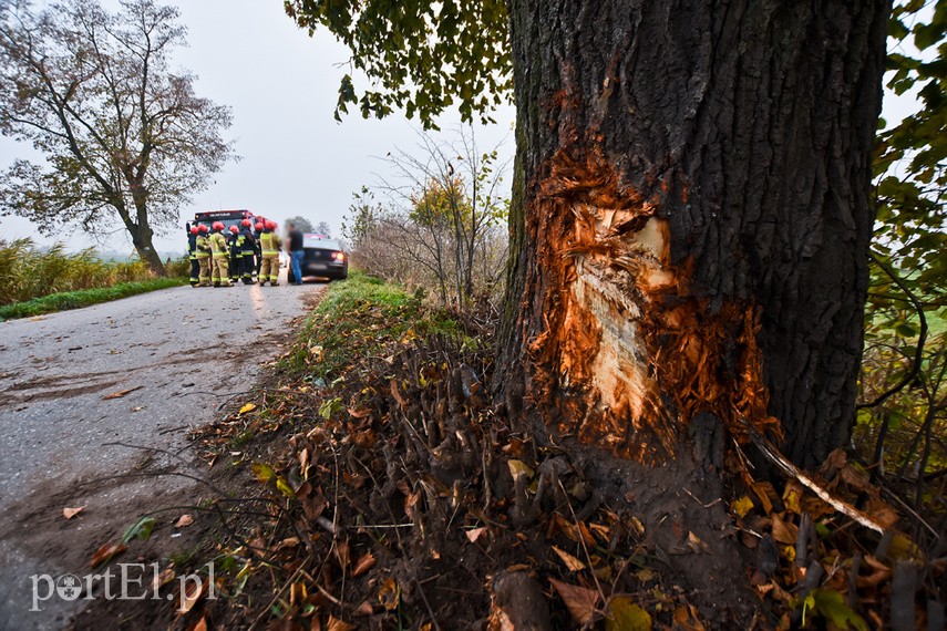 Kobieta kierująca audi uderzyła w drzewo zdjęcie nr 232912